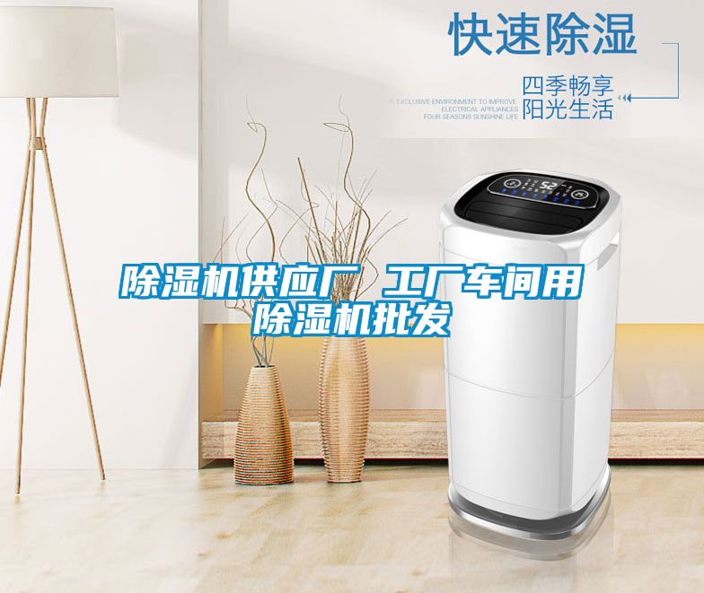 除濕機供應(yīng)廠 工廠車間用除濕機批發(fā)