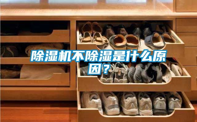 除濕機(jī)不除濕是什么原因？