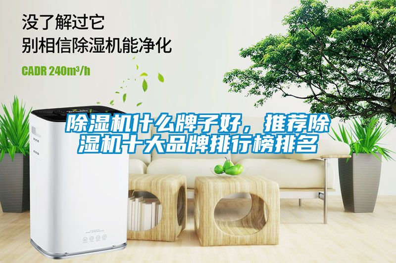 除濕機(jī)什么牌子好，推薦除濕機(jī)十大品牌排行榜排名