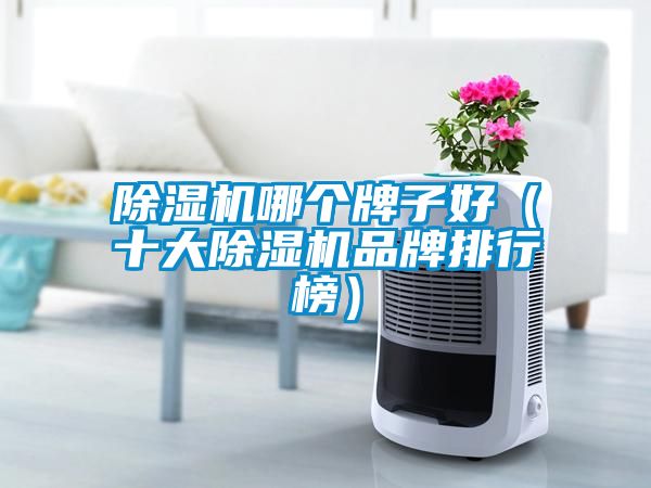 除濕機(jī)哪個牌子好（十大除濕機(jī)品牌排行榜）