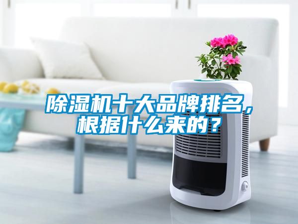 除濕機十大品牌排名，根據(jù)什么來的？
