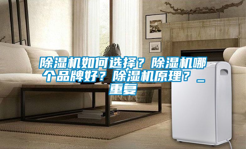除濕機如何選擇？除濕機哪個品牌好？除濕機原理？_重復