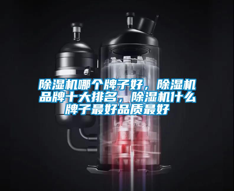 除濕機(jī)哪個牌子好，除濕機(jī)品牌十大排名，除濕機(jī)什么牌子最好品質(zhì)最好