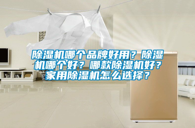 除濕機(jī)哪個(gè)品牌好用？除濕機(jī)哪個(gè)好？哪款除濕機(jī)好？家用除濕機(jī)怎么選擇？