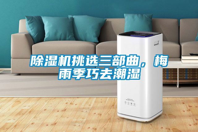 除濕機挑選三部曲，梅雨季巧去潮濕
