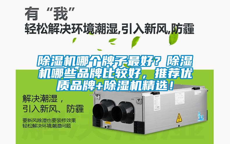 除濕機(jī)哪個(gè)牌子最好？除濕機(jī)哪些品牌比較好，推薦優(yōu)質(zhì)品牌+除濕機(jī)精選！