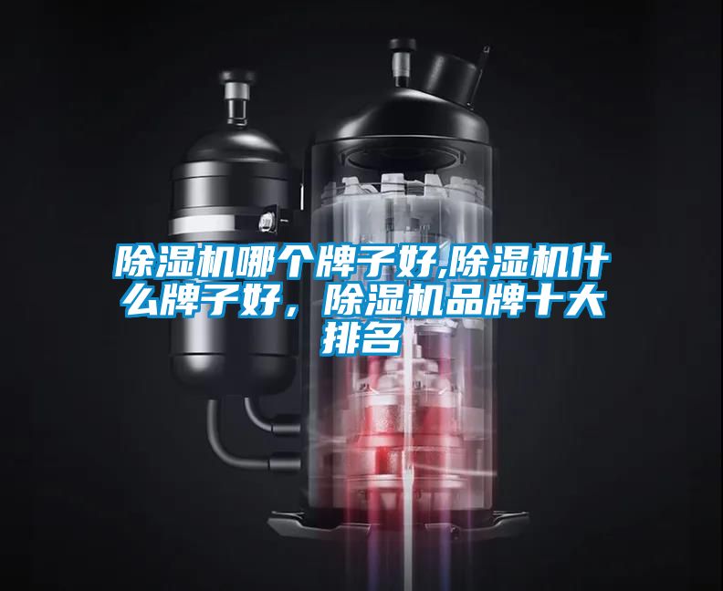除濕機(jī)哪個(gè)牌子好,除濕機(jī)什么牌子好，除濕機(jī)品牌十大排名
