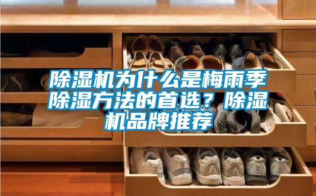 除濕機(jī)為什么是梅雨季除濕方法的首選？除濕機(jī)品牌推薦
