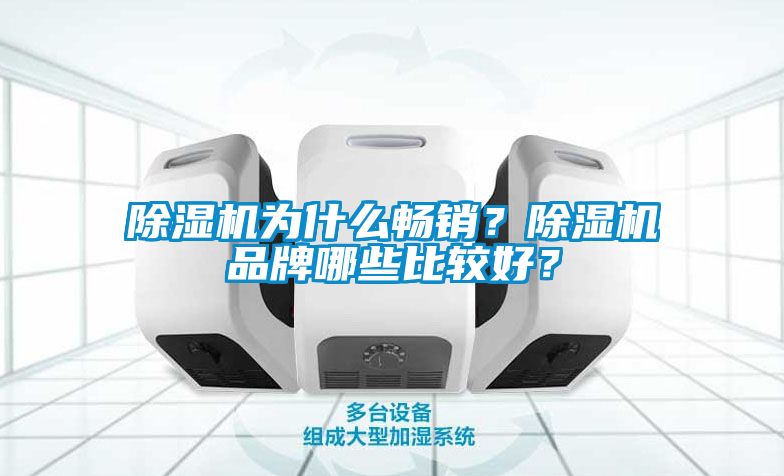 除濕機(jī)為什么暢銷？除濕機(jī)品牌哪些比較好？
