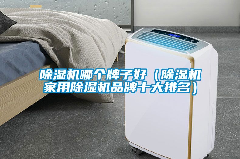 除濕機(jī)哪個牌子好（除濕機(jī)家用除濕機(jī)品牌十大排名）