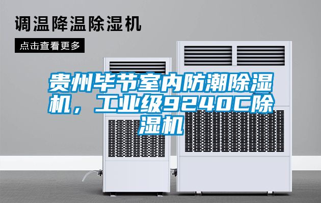 貴州畢節(jié)室內(nèi)防潮除濕機(jī)，工業(yè)級(jí)9240C除濕機(jī)