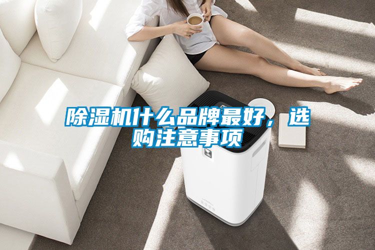 除濕機(jī)什么品牌最好，選購注意事項(xiàng)