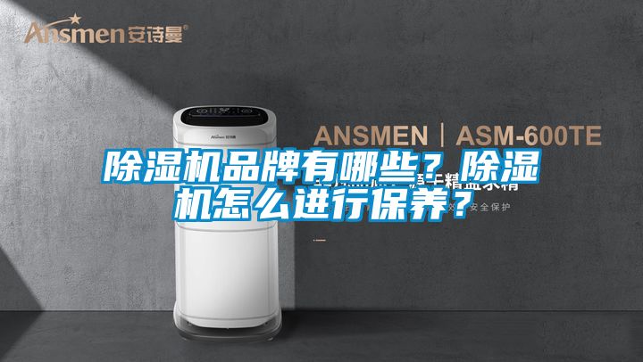 除濕機(jī)品牌有哪些？除濕機(jī)怎么進(jìn)行保養(yǎng)？