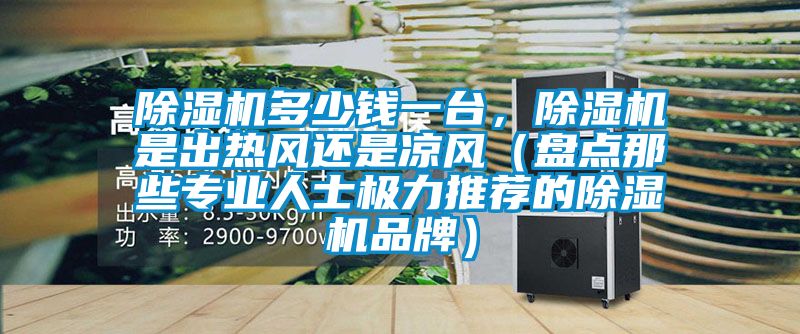 除濕機多少錢一臺，除濕機是出熱風還是涼風（盤點那些專業(yè)人士極力推薦的除濕機品牌）