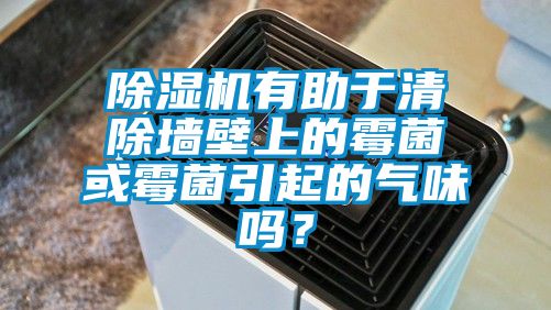 除濕機(jī)有助于清除墻壁上的霉菌或霉菌引起的氣味嗎？