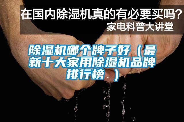 除濕機(jī)哪個牌子好（最新十大家用除濕機(jī)品牌排行榜 ）