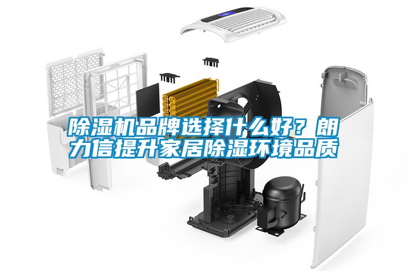 除濕機(jī)品牌選擇什么好？朗力信提升家居除濕環(huán)境品質(zhì)