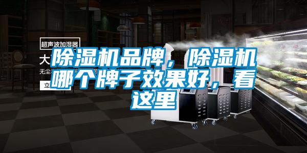 除濕機(jī)品牌，除濕機(jī)哪個牌子效果好，看這里