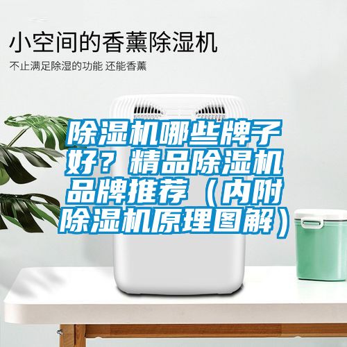 除濕機(jī)哪些牌子好？精品除濕機(jī)品牌推薦（內(nèi)附除濕機(jī)原理圖解）
