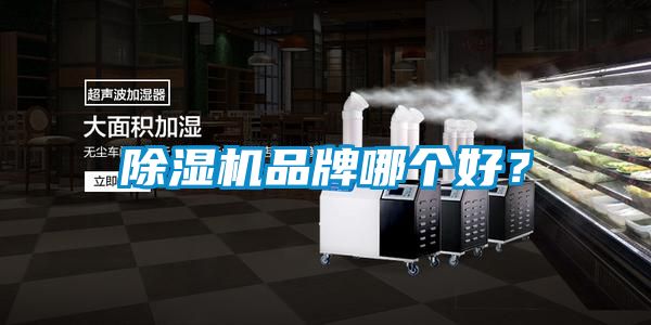 除濕機(jī)品牌哪個(gè)好？