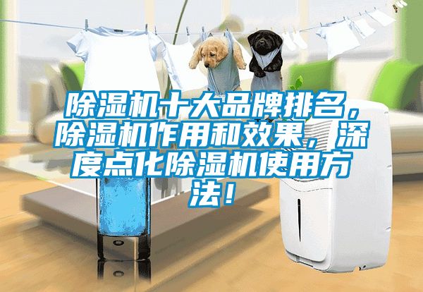 除濕機十大品牌排名，除濕機作用和效果，深度點化除濕機使用方法！