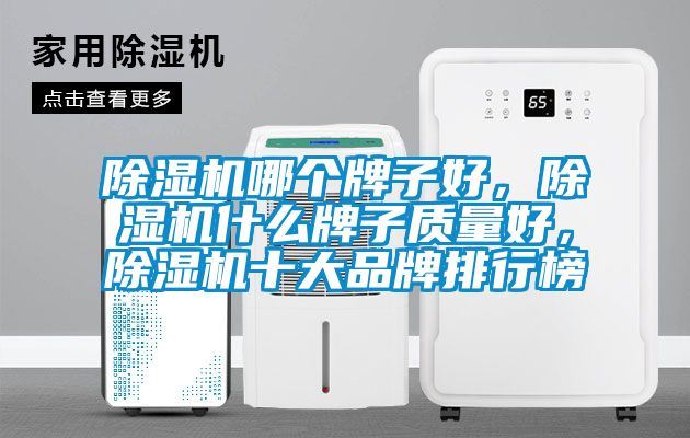 除濕機(jī)哪個牌子好，除濕機(jī)什么牌子質(zhì)量好，除濕機(jī)十大品牌排行榜