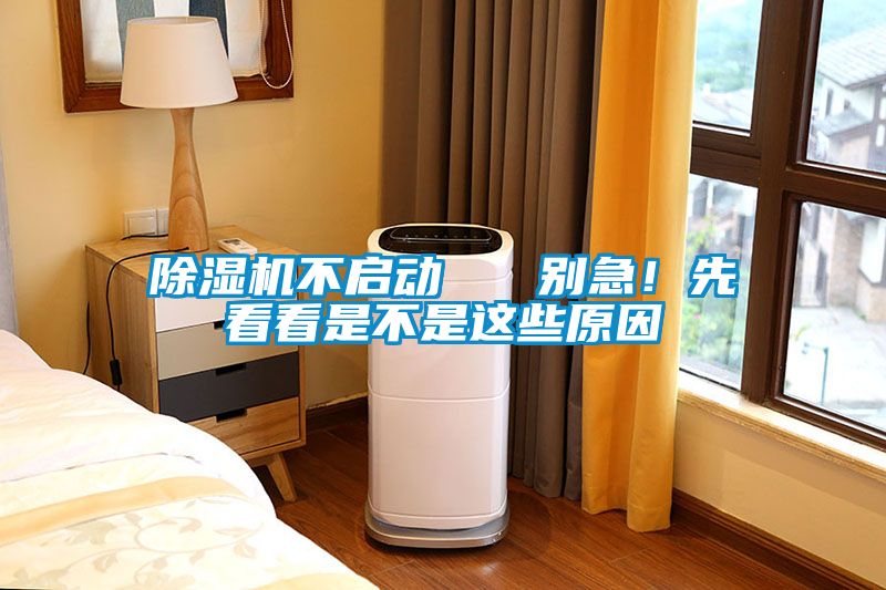 除濕機(jī)不啟動   別急！先看看是不是這些原因