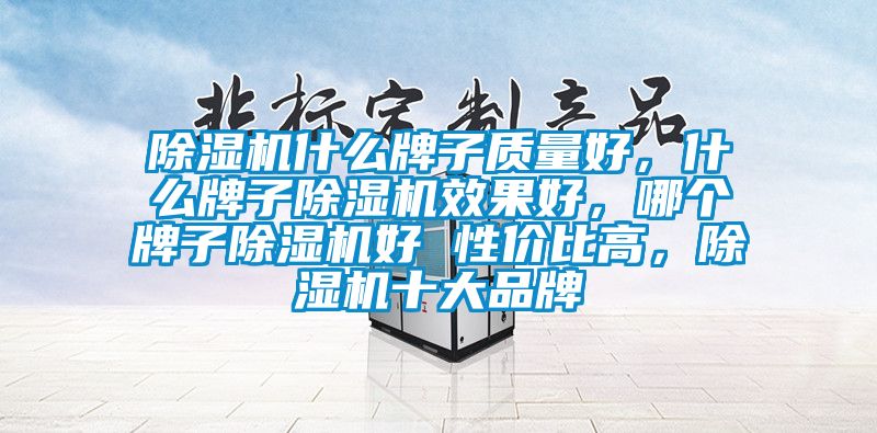 除濕機什么牌子質(zhì)量好，什么牌子除濕機效果好，哪個牌子除濕機好 性價比高，除濕機十大品牌