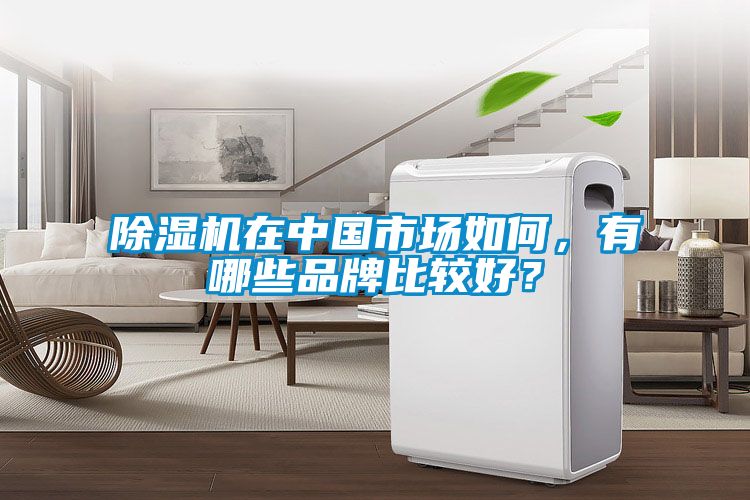 除濕機(jī)在中國(guó)市場(chǎng)如何，有哪些品牌比較好？