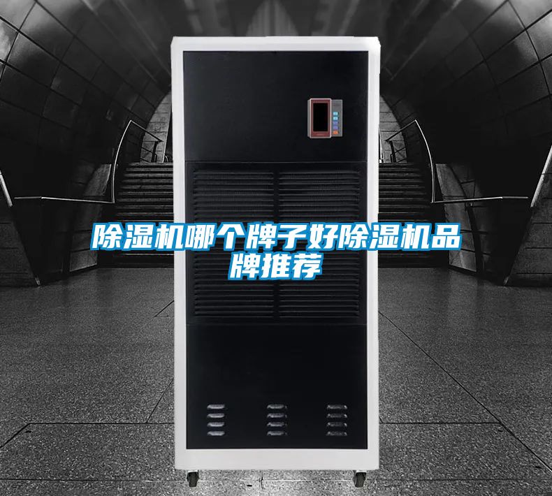 除濕機(jī)哪個牌子好除濕機(jī)品牌推薦