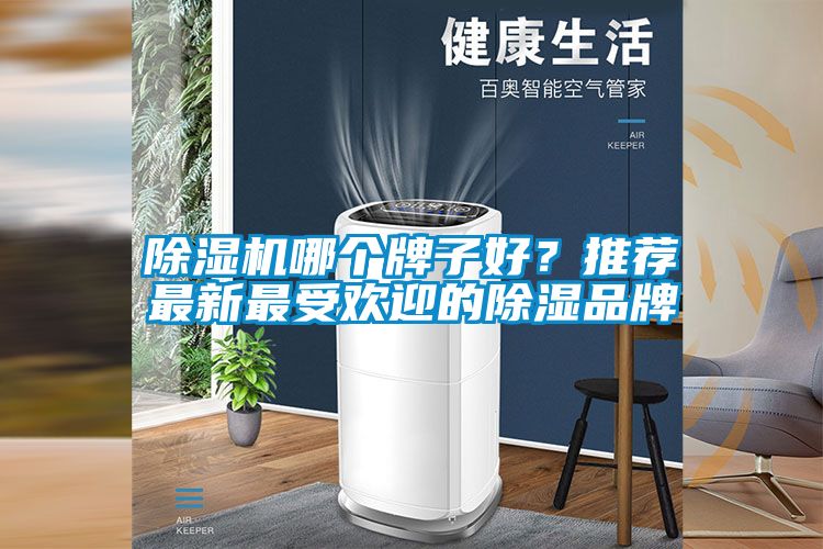 除濕機哪個牌子好？推薦最新最受歡迎的除濕品牌