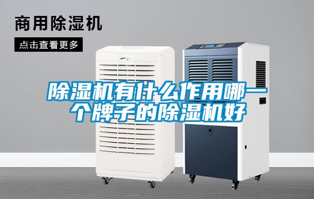 除濕機(jī)有什么作用哪一個牌子的除濕機(jī)好