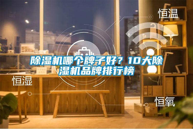 除濕機(jī)哪個牌子好？10大除濕機(jī)品牌排行榜