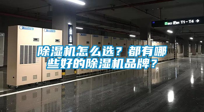 除濕機(jī)怎么選？都有哪些好的除濕機(jī)品牌？