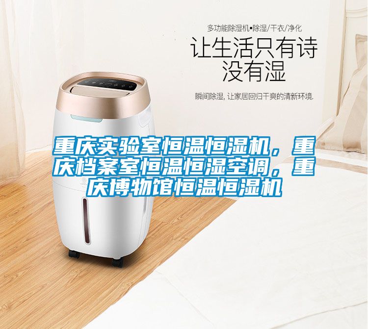 重慶實驗室恒溫恒濕機，重慶檔案室恒溫恒濕空調(diào)，重慶博物館恒溫恒濕機