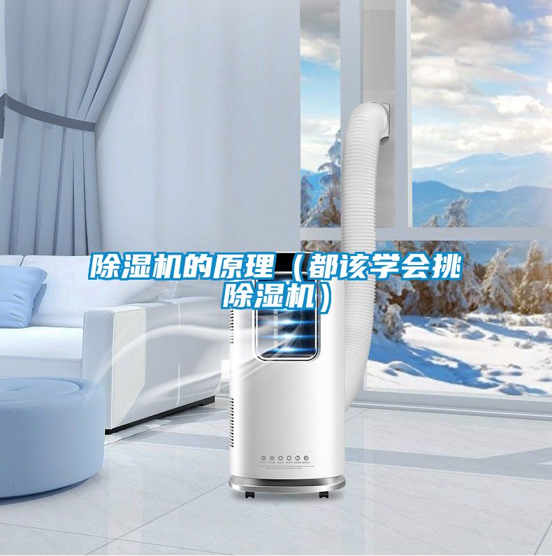 除濕機的原理（都該學(xué)會挑除濕機）