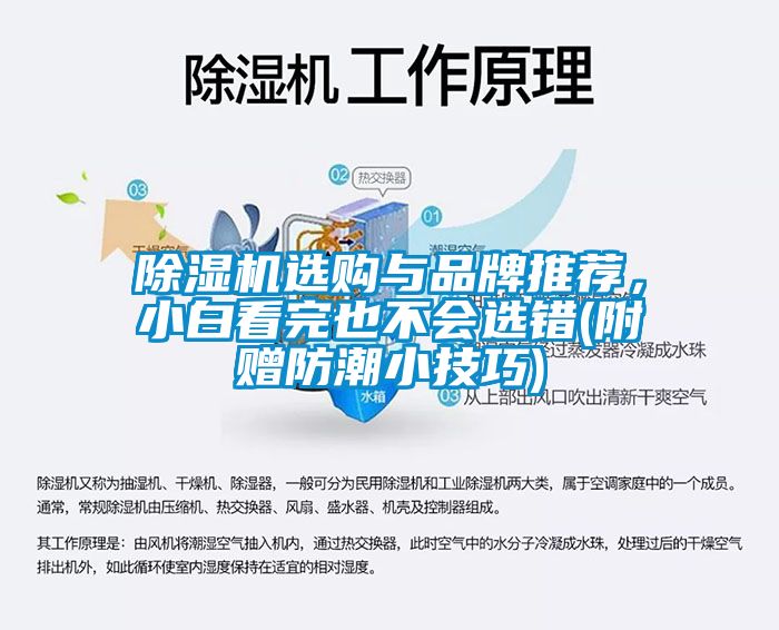 除濕機選購與品牌推薦，小白看完也不會選錯(附贈防潮小技巧)