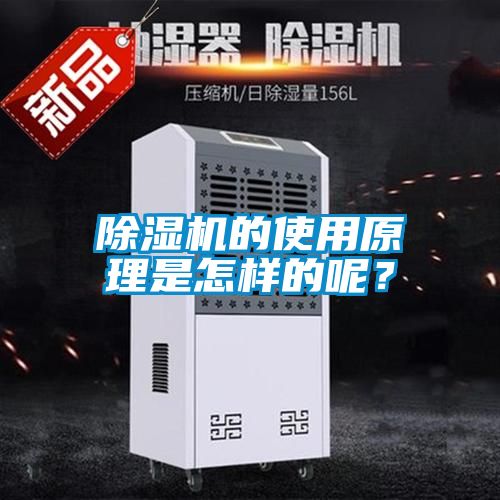 除濕機(jī)的使用原理是怎樣的呢？