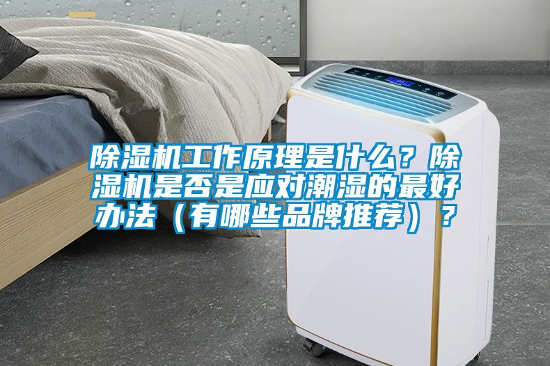 除濕機工作原理是什么？除濕機是否是應(yīng)對潮濕的最好辦法（有哪些品牌推薦）？