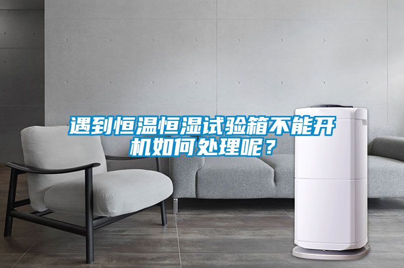 遇到恒溫恒濕試驗(yàn)箱不能開機(jī)如何處理呢？