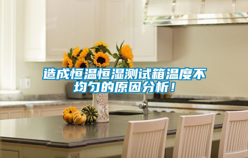 造成恒溫恒濕測試箱溫度不均勻的原因分析！