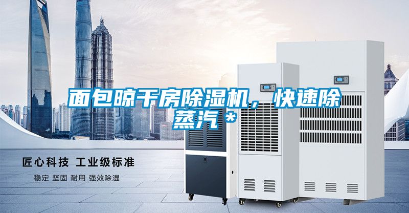 面包晾干房除濕機(jī)，快速除蒸汽＊
