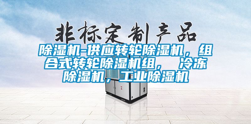 除濕機-供應轉輪除濕機，組合式轉輪除濕機組， 冷凍除濕機，工業除濕機