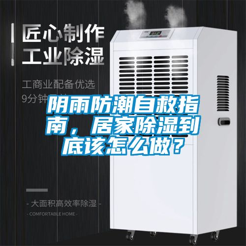 陰雨防潮自救指南，居家除濕到底該怎么做？