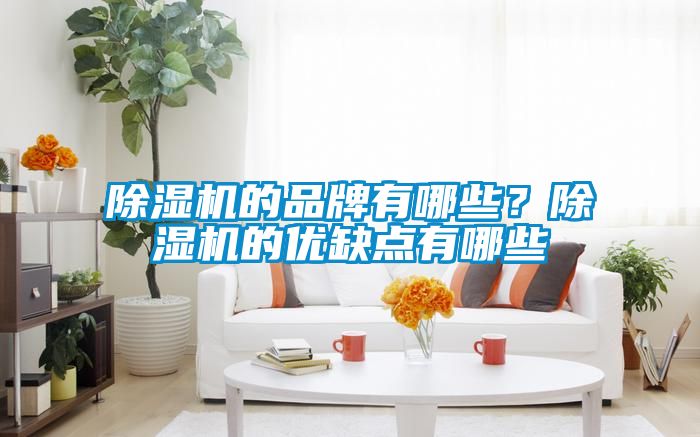 除濕機的品牌有哪些？除濕機的優(yōu)缺點有哪些