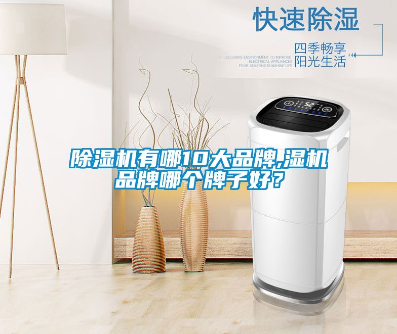 除濕機(jī)有哪10大品牌,濕機(jī)品牌哪個(gè)牌子好？