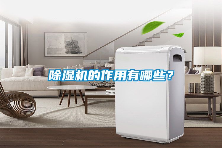 除濕機(jī)的作用有哪些？