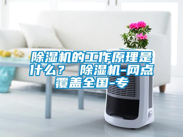 除濕機(jī)的工作原理是什么？ 除濕機(jī)-網(wǎng)點覆蓋全國-專