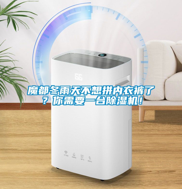 魔都冬雨天不想拼內(nèi)衣褲了？你需要一臺(tái)除濕機(jī)！