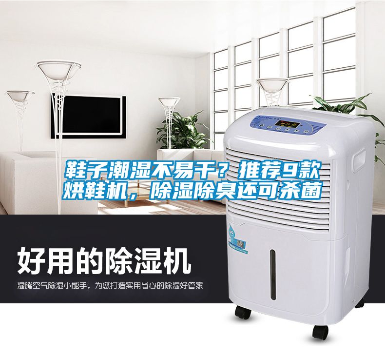 鞋子潮濕不易干？推薦9款烘鞋機，除濕除臭還可殺菌